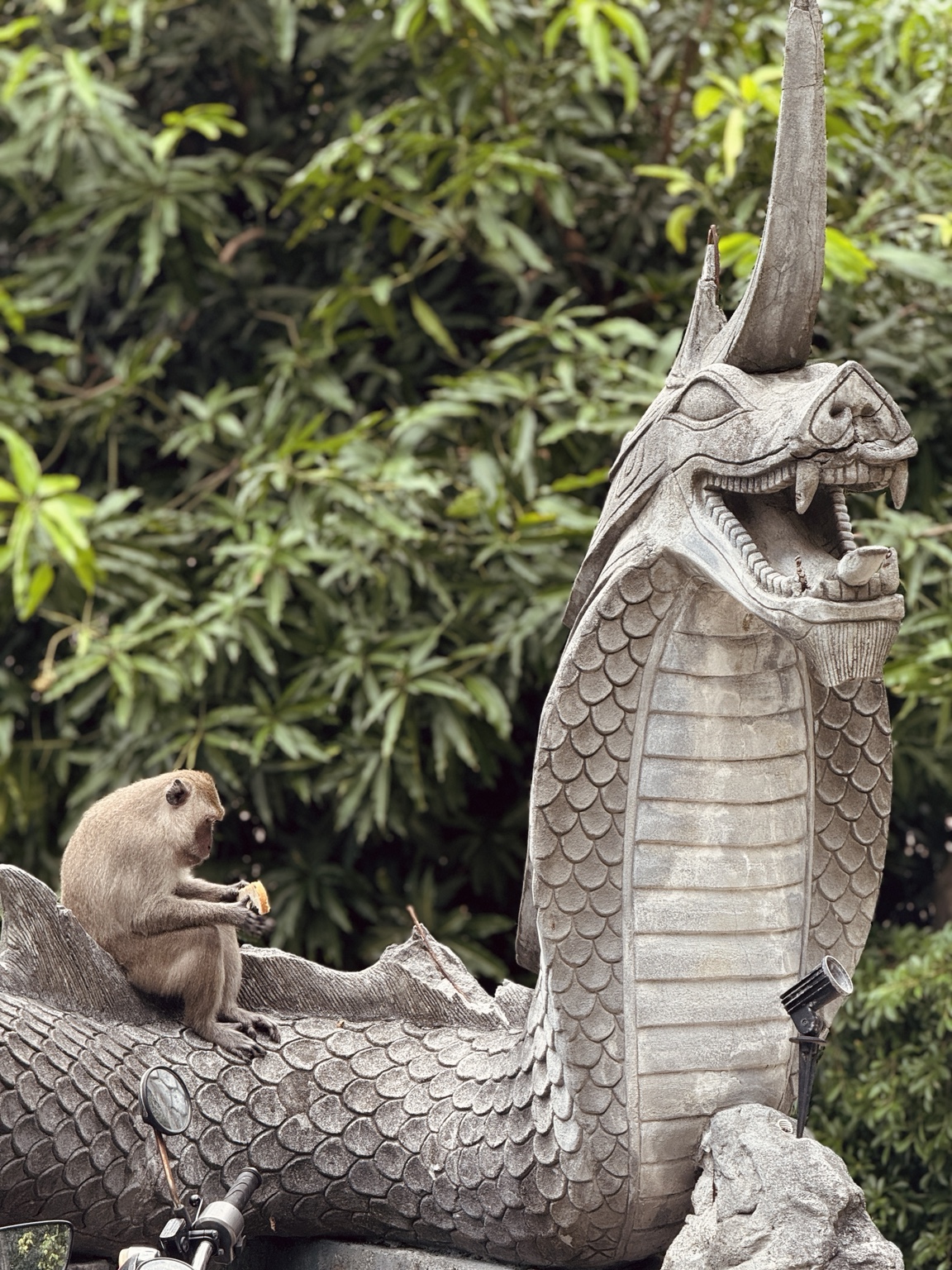 A small monkey sits on the curved body of a carved stone serpent beside dense green foliage