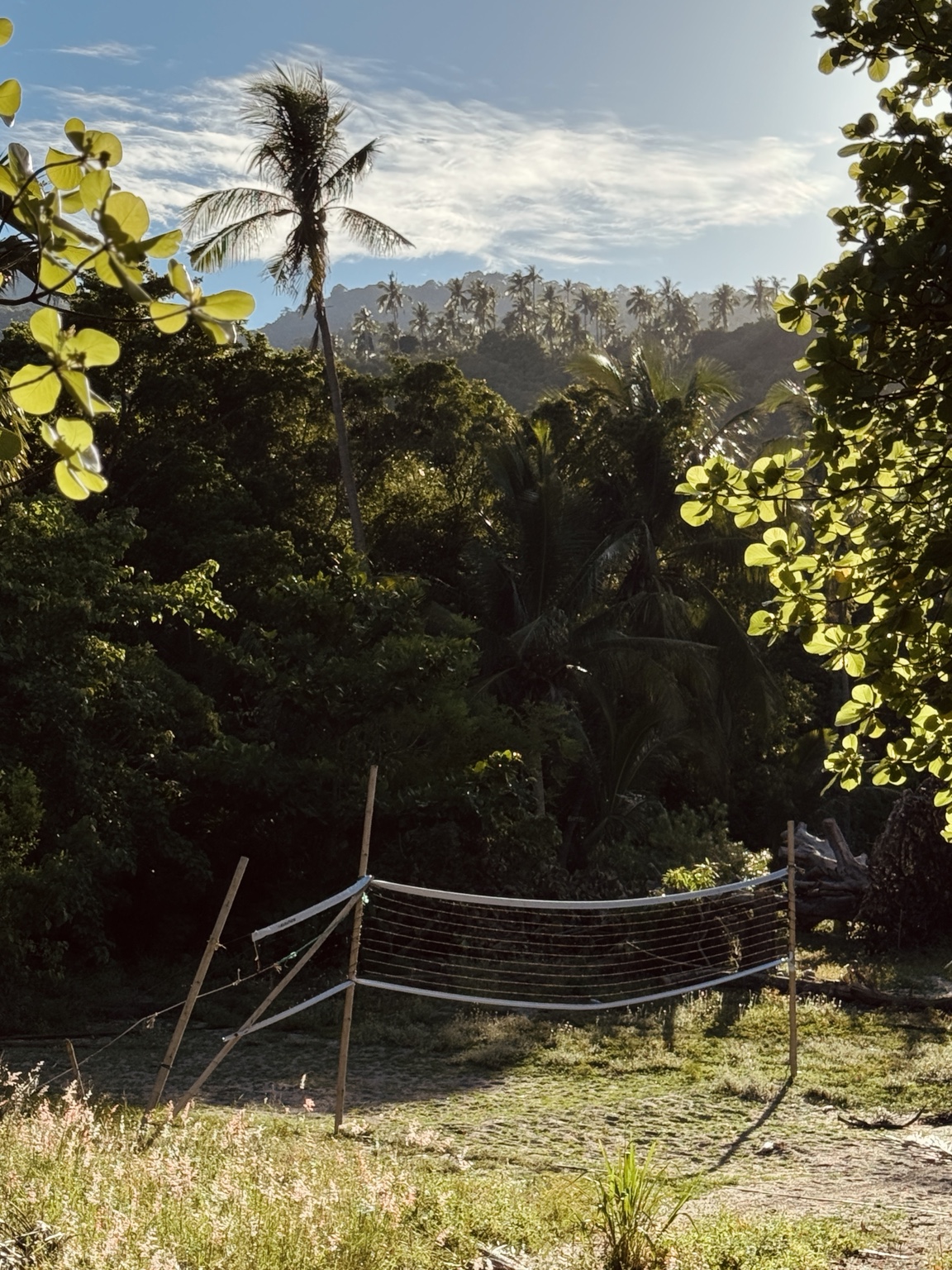 A volleyball net stretches across a grassy clearing surrounded by palms and sunlit tropical hills