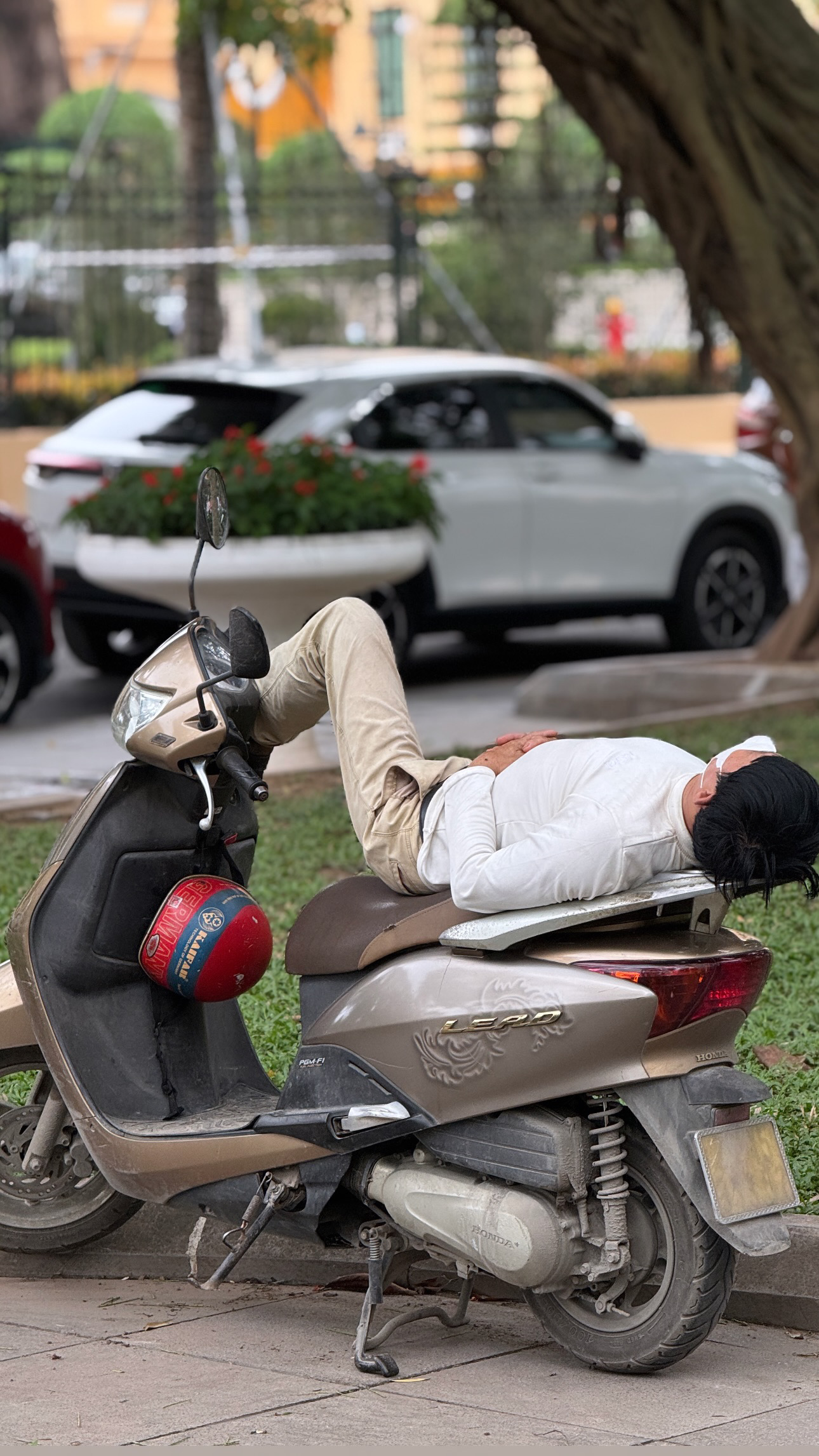 A person rests across a parked scooter beneath a tree beside a city street