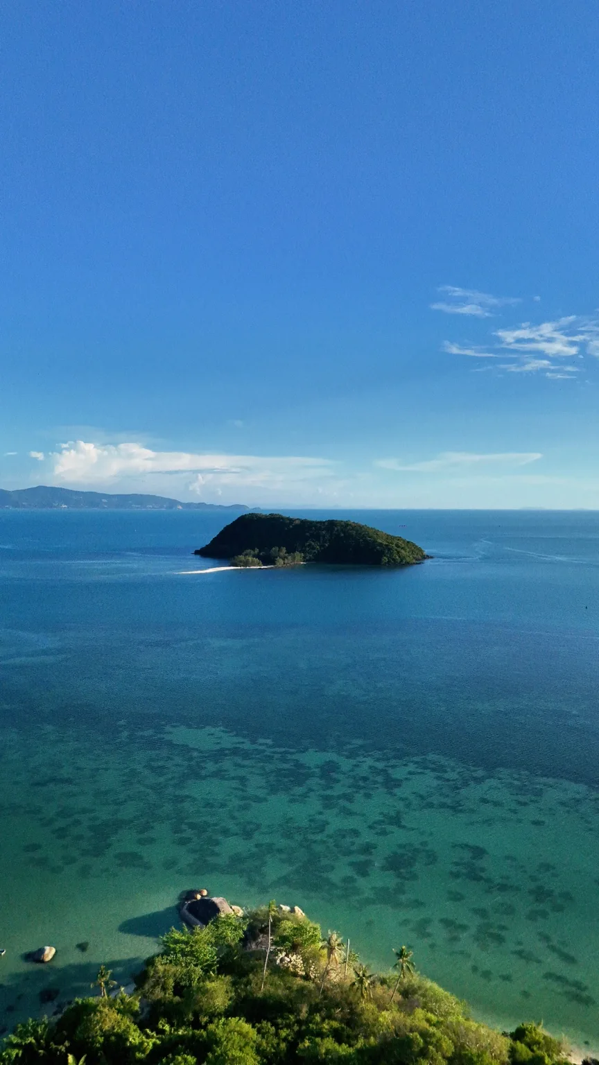 A green island surrounded by clear blue sea, with rocks and coastal greenery in the foreground