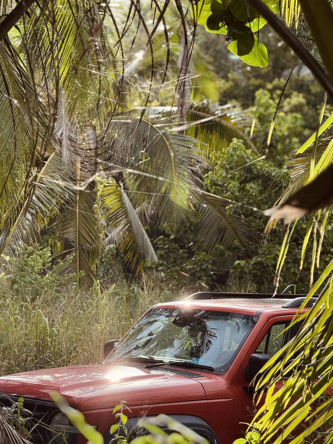 A red pickup truck sits partly hidden among palms and dense tropical foliage