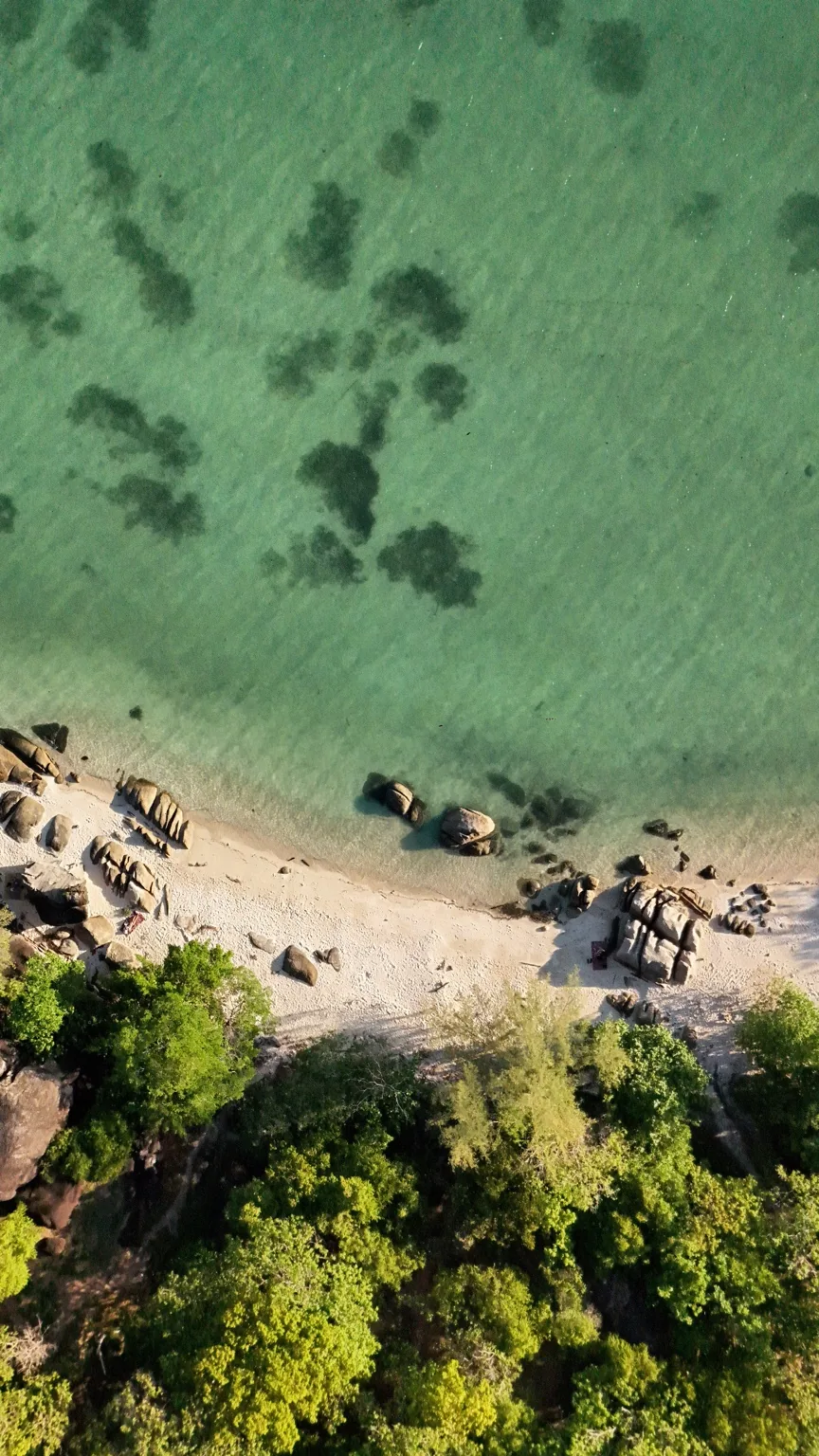 Clear water, sand and trees along a rocky shoreline