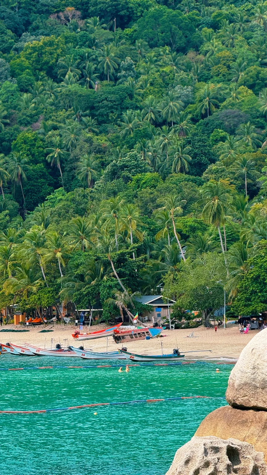 Long-tail boats on a tropical beach backed by a steep green hillside, with sunlit rocks in the foreground